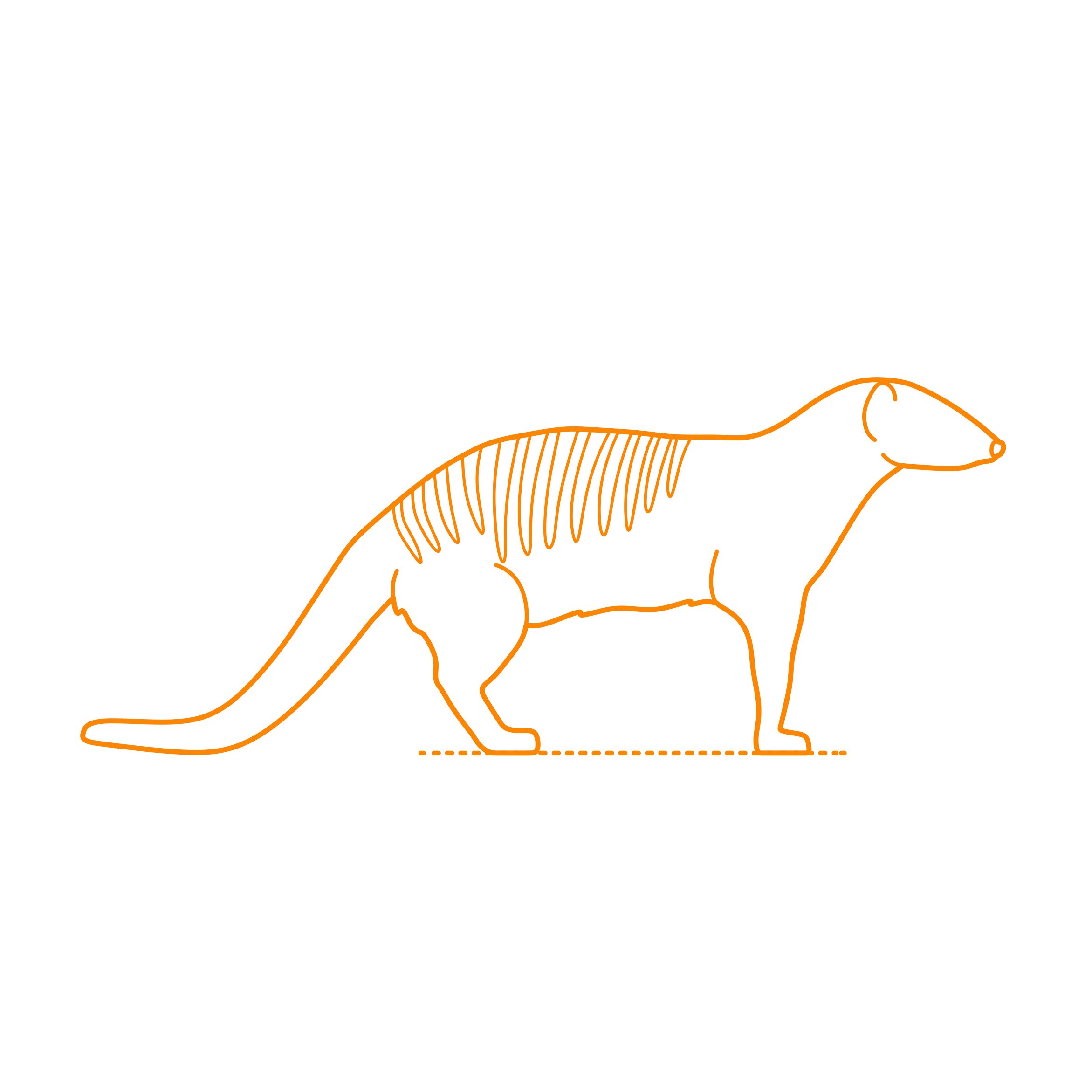 Animals Herpestids Banded Mongoose Tracing Svg Vector Free Vectors